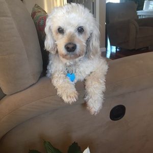 Meet your Posher, Donna